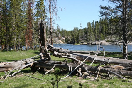 Yellowstone River