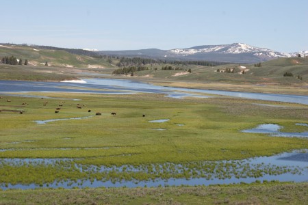 HAYDEN VALLEY