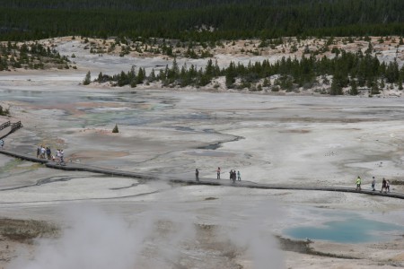 NORRIS Geyser Basin
