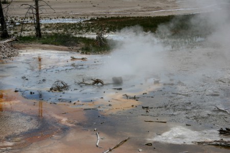 NORRIS Geyser Basin